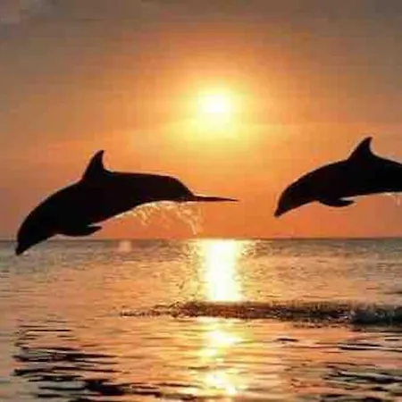 Apartment A Golfo Aranci